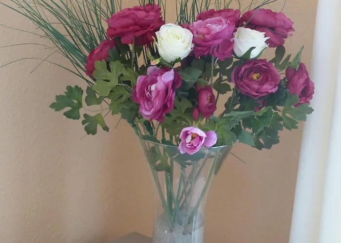 Strandlaeufer * Kellenhusen