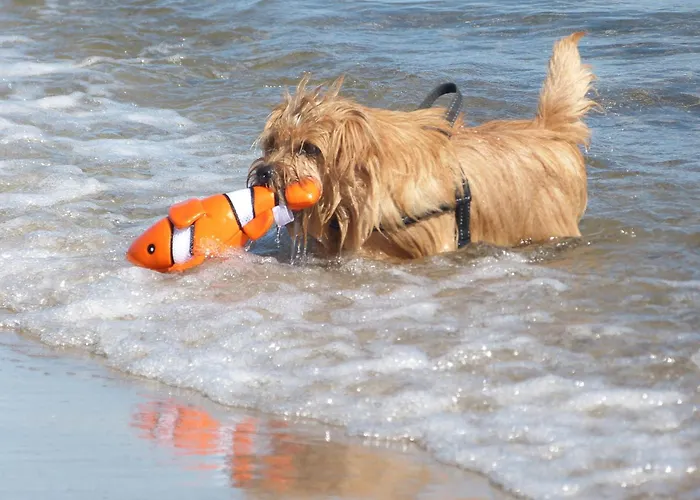 Apartamento Strandlaeufer